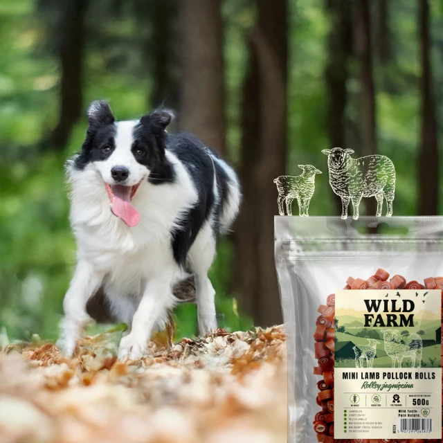 Ласощі для собак Wild Farm Роли з ягням 500 г (5907291265833)