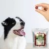 Ласощі для собак Wild Farm Роли з ягням 500 г (5907291265833)