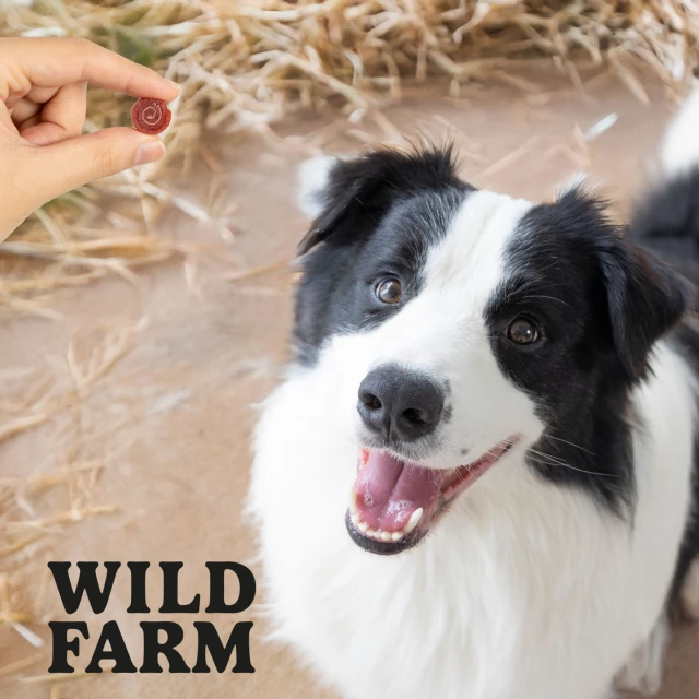 Ласощі для собак Wild Farm Роли з ягням 500 г (5907291265833)