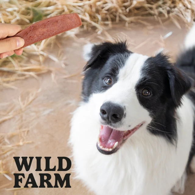 Ласощі для собак Wild Farm Філе з яловичини 500 г (5907291265864)