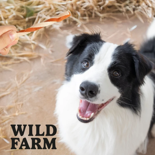 Ласощі для собак Wild Farm Сендвіч з куркою і тріскою 500 г (5907291265918)