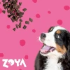 Сухий корм для собак ZOYA ColdPro з яловичиною 1 кг (5907649160001)