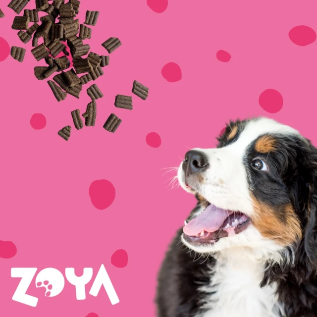 Сухий корм для собак ZOYA ColdPro з яловичиною 1 кг (5907649160001)