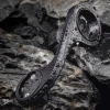 Велосипедний тримач Rockbros 29210012001 для лічильника Garmin на кермо чорний (29210012001)
