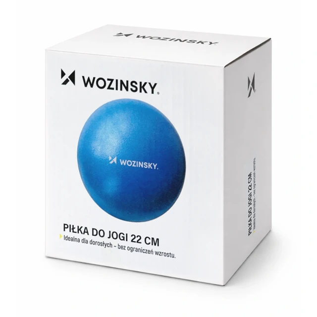 М'яч для вправ Wozinsky WPDP-N22 реабілітаційний 25см синій (5907769384097)