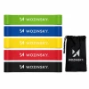 Фитнес-резинки Wozinsky WGO-5 из латекса 5 шт (5907769384608)