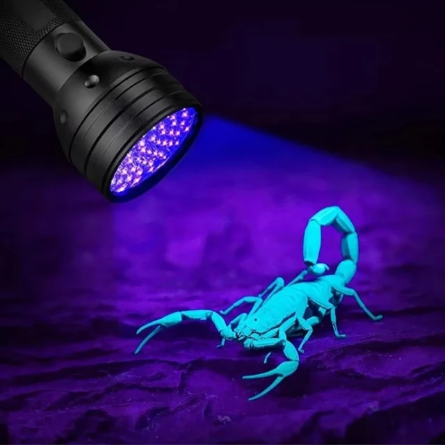 UV ліхтарик Wozinsky WLT-51L IP65 Black (5907769389139)