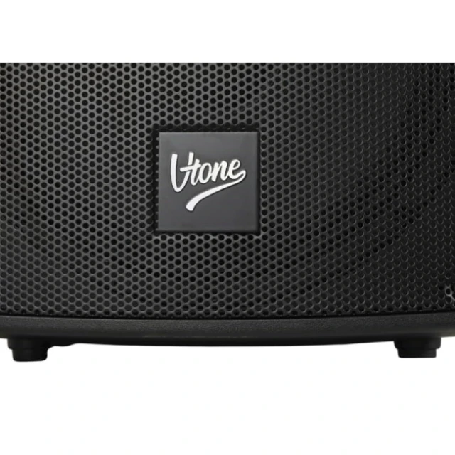 Портативна колонка V-tone BQ12 GO акумуляторна Bluetooth TWS з 2 бездротовими мікрофонами Black (5908249829381)