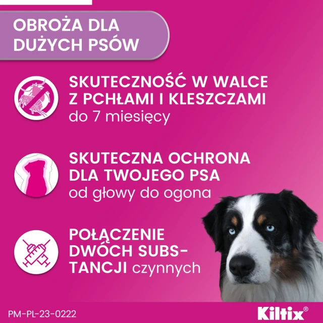 Нашийник для собак Bayer Kiltix від кліщів і бліх 70 см (5909997000770)