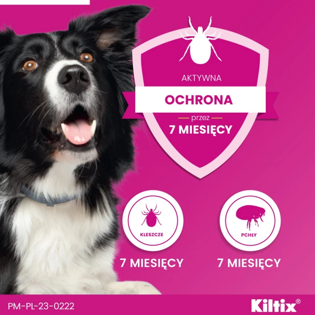 Нашійник для собак Bayer Kiltix від кліщів і бліх 53 см (5909997000787)