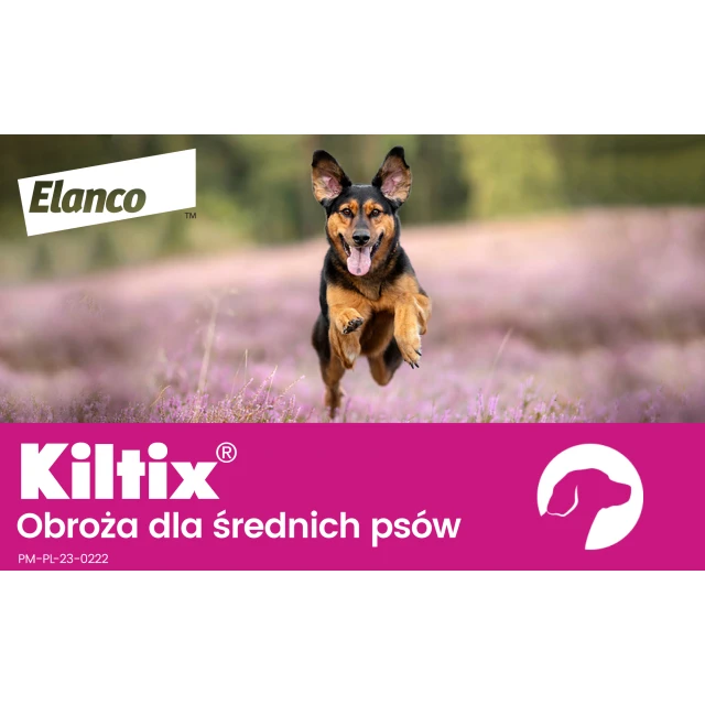 Нашійник для собак Bayer Kiltix від кліщів і бліх 53 см (5909997000787)