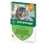 Краплі на холку для котів Bayer Advantage до 4 кг 4 шт x 0,4 мл (5909997007557)
