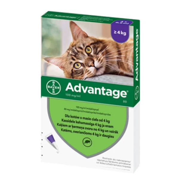 Краплі на холку для котів Bayer Advantage понад 4 кг 4 шт x 0,8 мл (5909997007571)