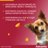 Краплі для собак Bayer Advantix від кліщів і бліх до 4 кг 0,4 мл (5909997023984)