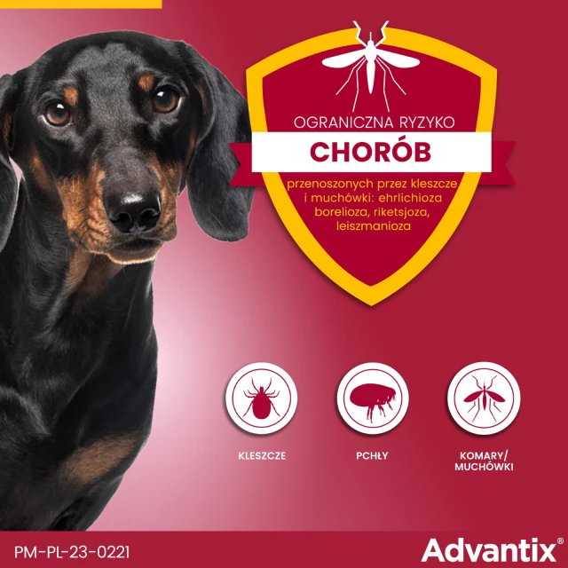Краплі для собак Bayer Advantix від кліщів і бліх 4–10 кг 1 мл (5909997024035)