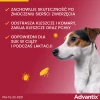 Краплі для собак Bayer Advantix від кліщів і бліх 4–10 кг 1 мл (5909997024035)