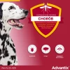 Краплі для собак Bayer Advantix від кліщів і бліх 25–40 кг 4 мл (5909997024080)