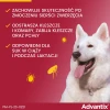 Краплі для собак Bayer Advantix від кліщів і бліх 25–40 кг 4 мл (5909997024080)
