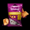 Лакомства для котов Whiskas Zdrowy Blask с курицей 45 г (5998749145555)