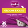 Лакомства для котов Whiskas Zdrowy Blask с курицей 45 г (5998749145555)