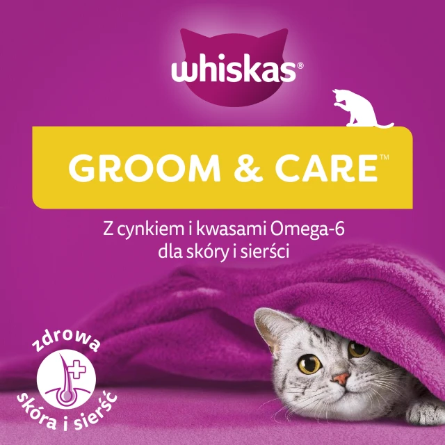 Лакомства для котов Whiskas Zdrowy Blask с курицей 45 г (5998749145555)