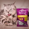 Лакомства для котов Whiskas Zdrowy Blask с курицей 45 г (5998749145555)