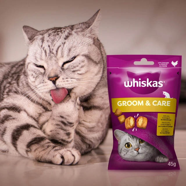 Лакомства для котов Whiskas Zdrowy Blask с курицей 45 г (5998749145555)