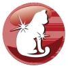 Сухий корм для котів Prevital з яловичиною 1,4 кг (5999566111150)