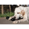 Іграшка для собак KONG Extreme Goodie Bone M (611932100128)