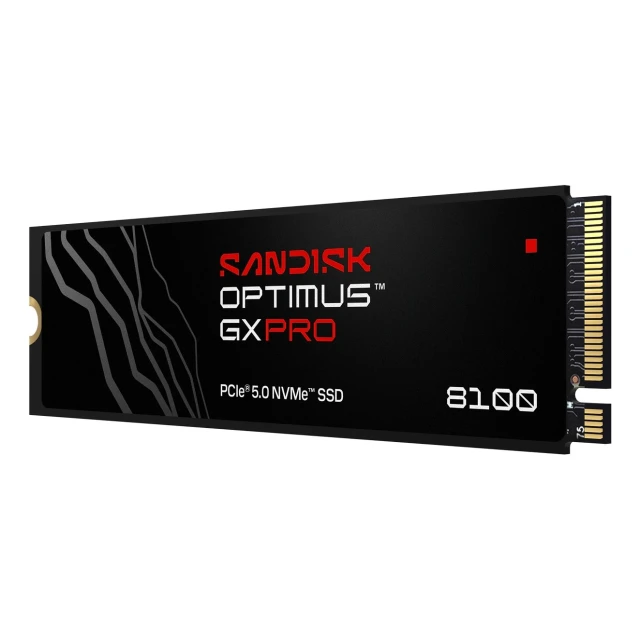 SSD SanDisk Optimus GX Pro 8100 1 ТБ (619659230999)
