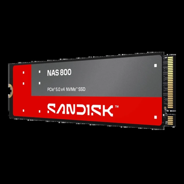 SSD SanDisk NAS 800 NVMe 960 ГБ (619659234607)