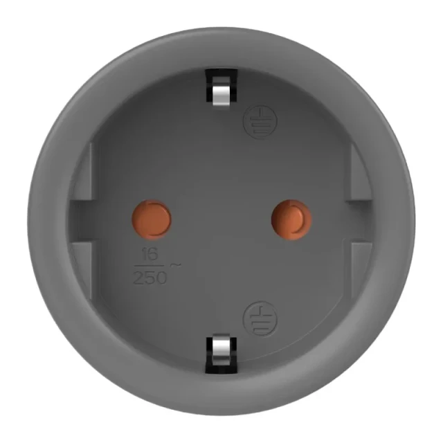 Умная розетка WiFi Sonoff S60TPF (S60TPF)