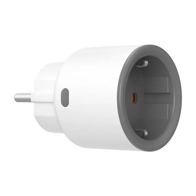 Умная розетка Sonoff S60TPF ZigBee (S60ZBTPF)