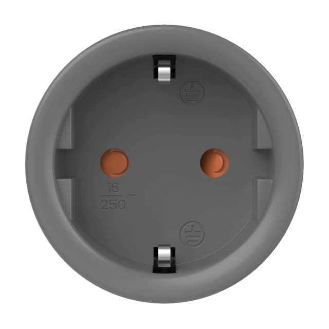 Умная розетка Sonoff S60TPF ZigBee (S60ZBTPF)