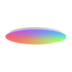 Стельовий світильник Yeelight Arwen Ceiling Light 500D (YLXDD-0149)