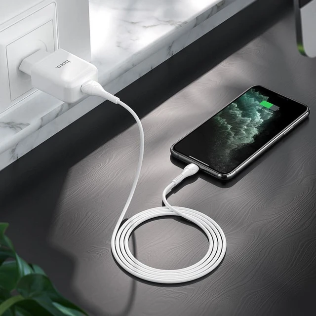 Мережевий зарядний пристрій Hoco N2 USB A 2A 10W + кабель USB A to Lightning White (6931474746122)