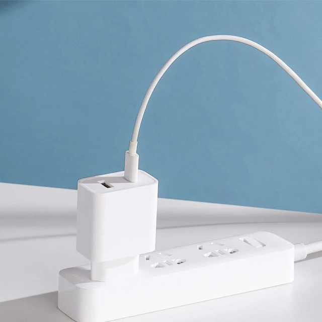 Мережевий зарядний пристрій Xiaomi Mi 33W USB-C | USB-A White (BHR4996GL)