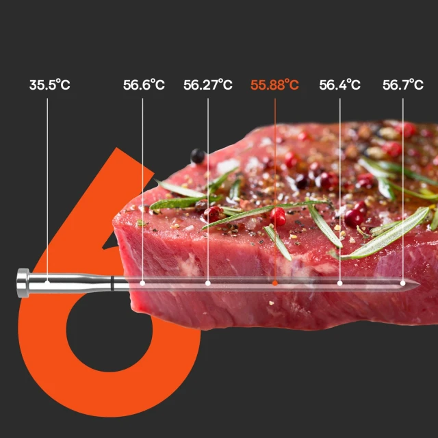 Термометр кухонний Meatmeet S Pro Bluetooth для гриля Gray (6936360611409)