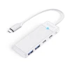 Хаб USB Orico PAPW2AC-C3 4-портовий 2xUSB-A 3.0 1xUSB-C 3.0 PD 100W (6941788869172)