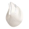 Вертикальная мышь Ugreen MU008MINI BT 2.4G White (85249)
