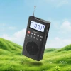 Радіо портативне Hoco HI51 Black (6942007677417)