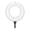 Лампа кільцева GODOX LED LR150 Air