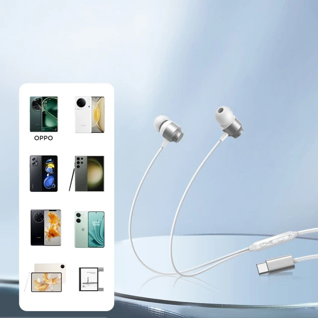 Навушники Joyroom In-ear Headphones USB-C Silver (JR-EC06 Silver)