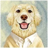 Чохол Nimmy Gentle Pets Series Dog для iPhone 17 Pro Max коричневий with MagSafe (N-YSMC-IP17-PRO-MAX-025-A)