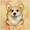 Чохол Nimmy Gentle Pets Series Dog для iPhone 17 Pro Max Помаранчевий with MagSafe (N-YSMC-IP17-PRO-MAX-024)