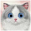 Чохол Nimmy Big Eyed Pet 2.0 Cat для iPhone 16 Pink (N-XDY-IP16-07)
