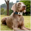 Локализатор GPS ENABOT для собаки или кота White (WH287307W)