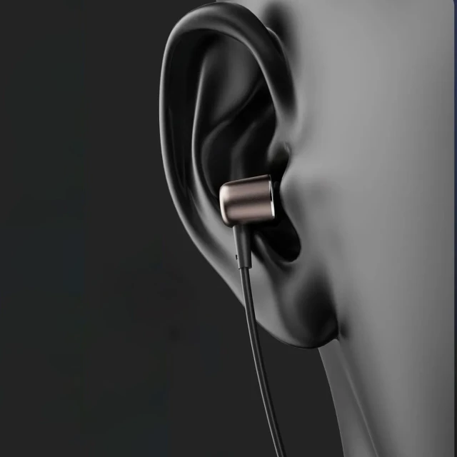 Наушники Dudao X1PROT проводные USB-C 1.2m Black (X1PROT black)