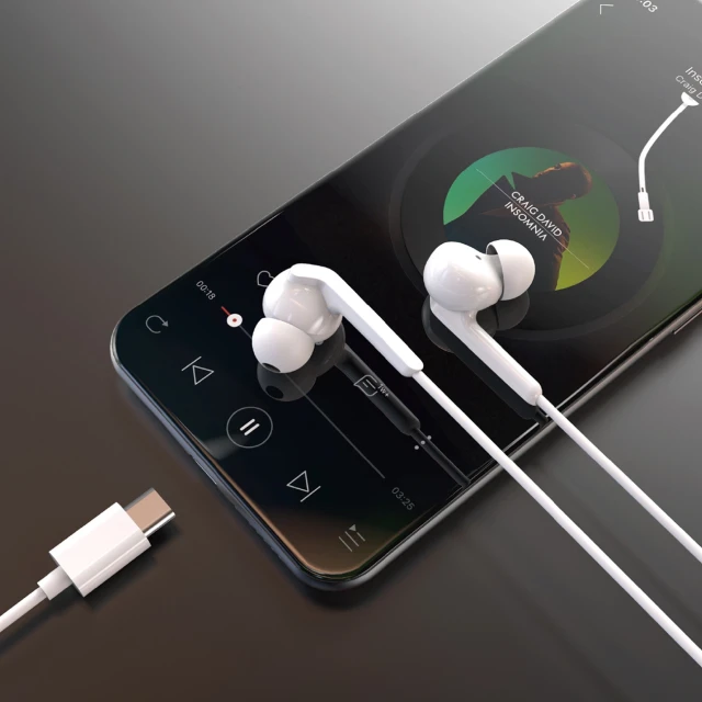 Навушники Dudao X3C+ дротові USB-C 1.2m White (X3C+ white)