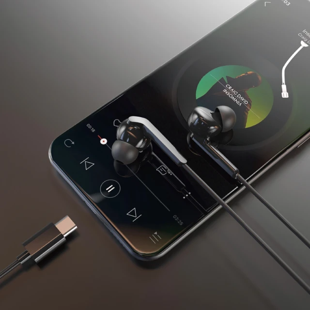 Навушники Dudao X3C+ USB-C 1.2m Black (X3C+ black)